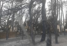 Μάτι Αττικής: Στους 98 οι νεκροί από τη φωτιά - Κατέληξε εγκαυματίας στο ΚΑΤ
